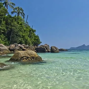 Leilson_Frantchelino